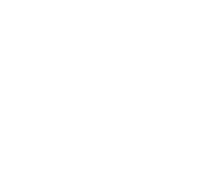The Realty Mentor